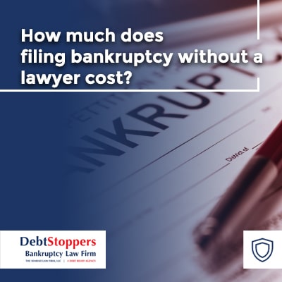 Can I File Bankruptcy Without A Lawyer? + 